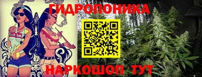 a pvp Тула