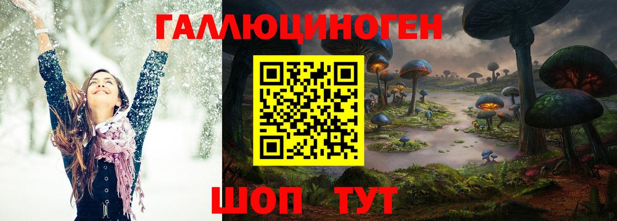 Нефтекумск  Галлюциногенные грибы GOLDEN TEACHER  Вход с VPN  Псилоцибиновые грибы Psilocybine cubensis 